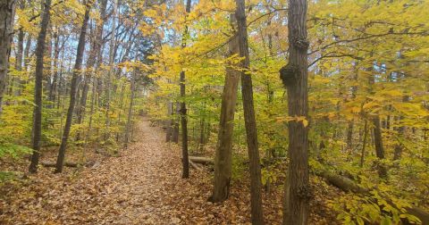 The Small State Park Where You Can View The Best Fall Foliage In Indiana