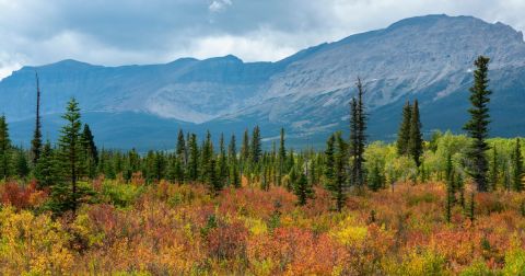 Here Are The Best Times And Places To View Montana's Fall Foliage In 2023