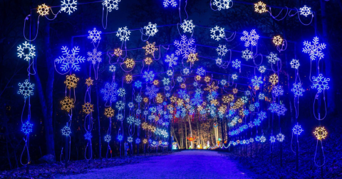 Your Ultimate Guide To Winter Attractions And Activities In Missouri