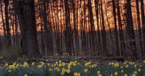 Explore This Secret Trail Around A Little-Known Recreation Area In Indiana