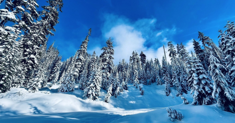 A Peaceful Escape Can Be Found Along The Kendall Peak Lakes Trail In Washington