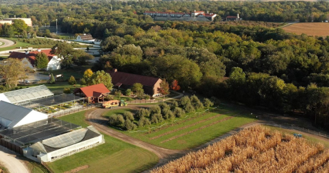 The Charming Small Town in Nebraska That's Perfect For A Fall Day Trip