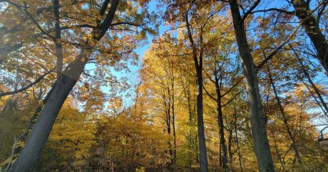 Enjoy An Unexpectedly Magical Hike On This Little-Known Trail In Indiana