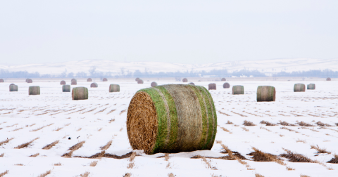 You Might Be Surprised To Hear The Predictions About Nebraska's Frigid Upcoming Winter