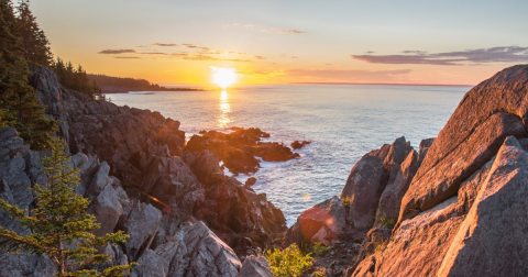 Explore This Secret Trail Around Cutler Coast Public Reserve Land In Maine