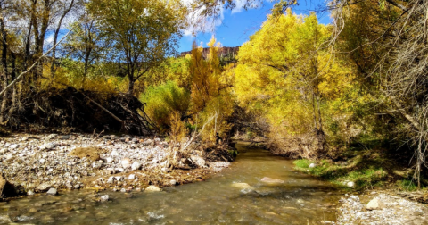 This Little-Known Scenic Spot In Arizona That Comes Alive With Color Come Fall