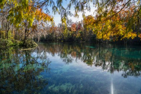 Here Are The Best Times And Places To View Florida's Fall Foliage In 2023