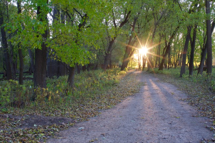 Nothing beats a salubrious stroll along Wita Tanka (Pike Island) in Fort Snell State Park at sunset. The sights and sounds throughout the years are always a delight.