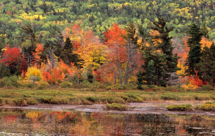 Michigan small town comes alive in autumn