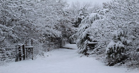 You Might Be Surprised To Hear The Predictions About Oklahoma's Snowy And Wet Upcoming Winter