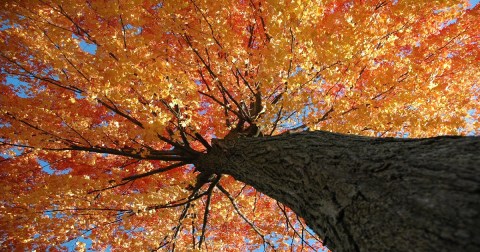 The Small Town In Wisconsin That Comes Alive In The Fall Season