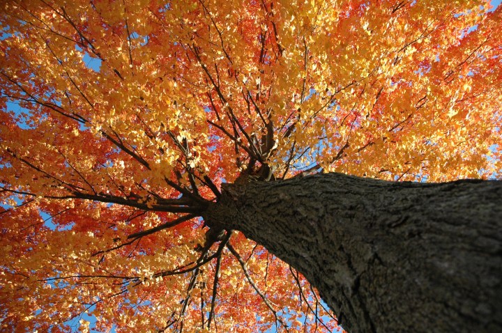 Wisconsin small town comes alive in autumn