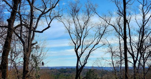 You Might Be Surprised To Hear The Predictions About Alabama’s Damp And Cold Upcoming Winter