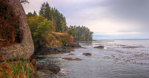 The Small Town In Washington That Comes Alive In The Fall Season