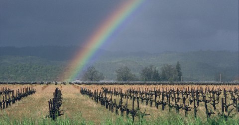 You Might Be Surprised To Hear The Predictions About Northern California's Damp And Cold Upcoming Winter