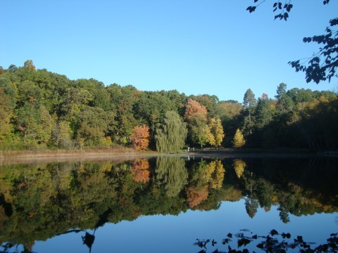 Explore A Little-Known Arboretum In This Small Michigan Country Town