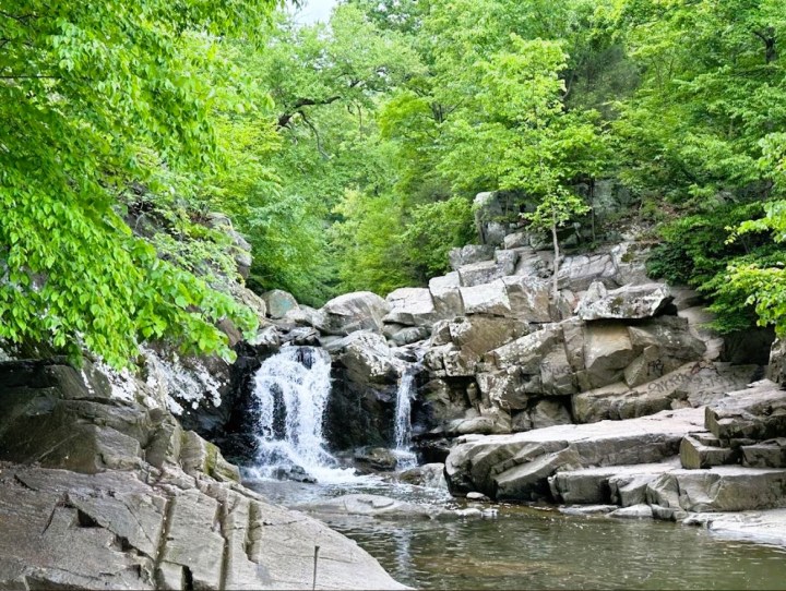 Woodland and River Trail Loop