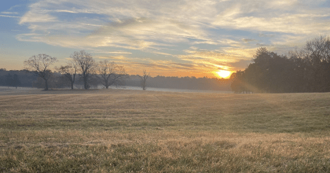 Explore This Secret Trail Around The Only National Military Park In Georgia