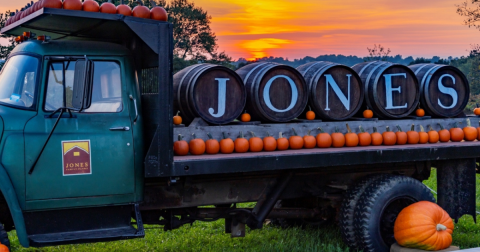 One Of The Largest Pumpkin Patches In Connecticut Is A Must-Visit Day Trip This Fall