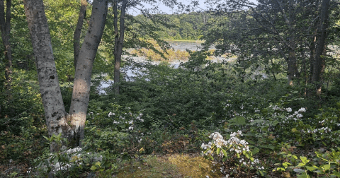 Enjoy An Unexpectedly Magical Hike On This Little-Known Trail In Connecticut