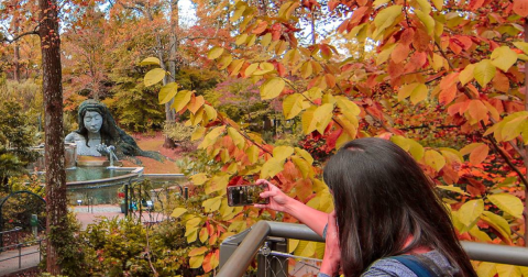 This Canopy Walk In Georgia Is The Perfect Way To See The Fall Colors Like Never Before