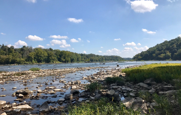 Woodland and River Trail Loop