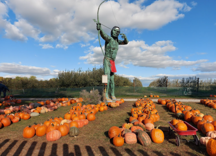 pumpkin patch near me