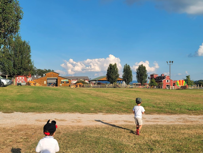 Two children approaching the recreation area of Tate Farms in Meridianville, which is the largest pumpkin patch in Alabama.