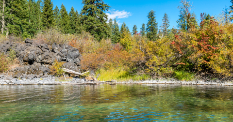 Oregon Is Home To Clear Lake, A Little-Known Scuba Diving Spot