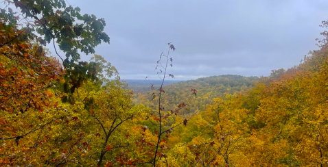 The Small Park Where You Can View The Best Fall Foliage In South Carolina