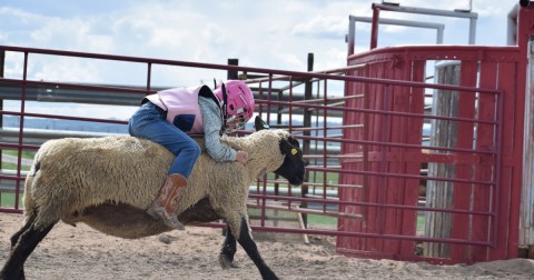 The 9 Best Fall Festivals In Wyoming For 2023 Will Put You In The Autumnal Spirit