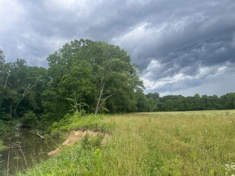 The Entire Family Will Love This Short And Simple Hike In Indiana