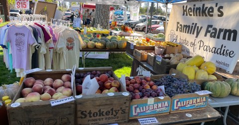 Held First In 1888, Johnny Appleseed Days Is The Oldest Harvest Festival In California