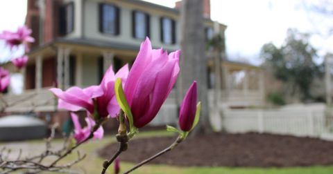 Explore A Little-Known Arboretum In This Small North Carolina Country Town