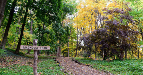 Explore A Little-Known Arboretum Near This Massachusetts College Campus