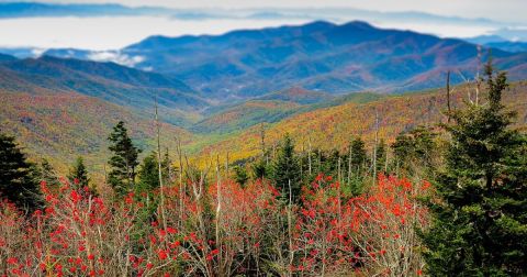 Here Are The Best Times And Places To View North Carolina's Fall Foliage In 2023