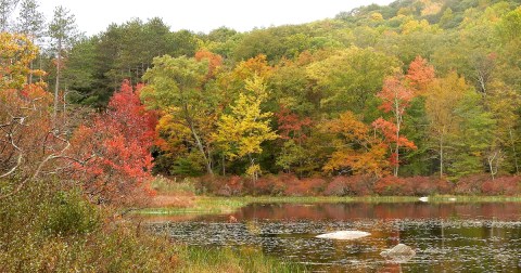 Here Are The Best Times And Places To View New York's Fall Foliage In 2023