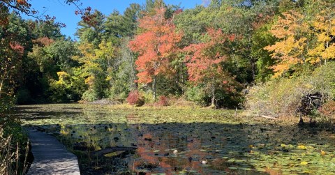 This Short Wildlife Sanctuary Trail Might Just Be The Most Enchanting Hike In Massachusetts