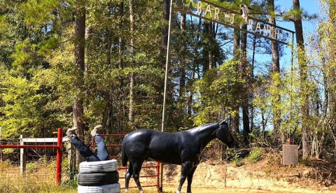 Experience The 'Old West' At One Of Arkansas’ Best Horse Ranches