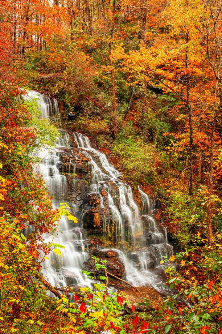 When do leaves change color in South Carolina