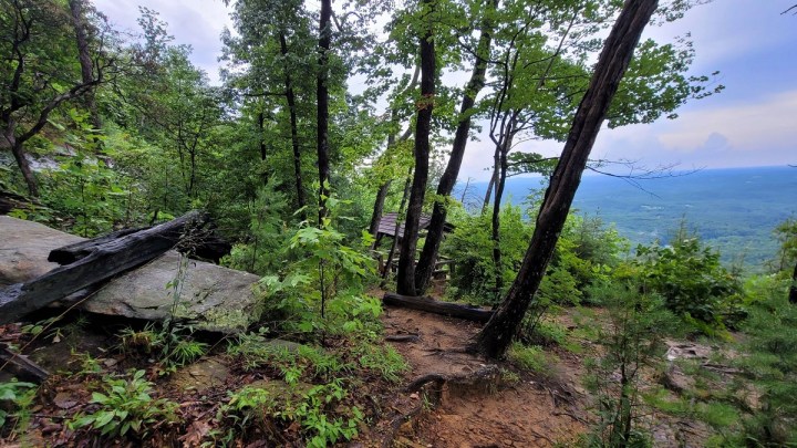 Best Hikes near Greenville, S.C.