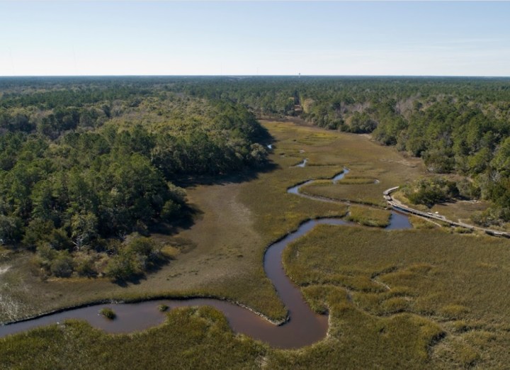 Best Hike near Charleston, S.C.