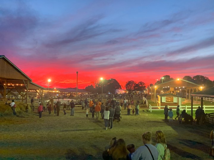 Fall Festival near Greenville