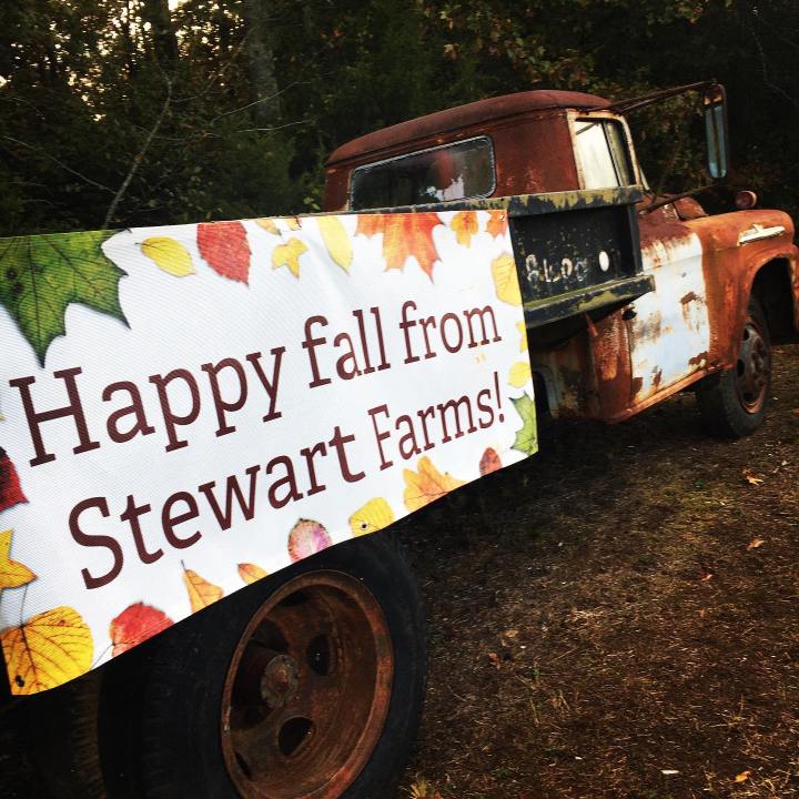 Pumpkin Patches in South Carolina