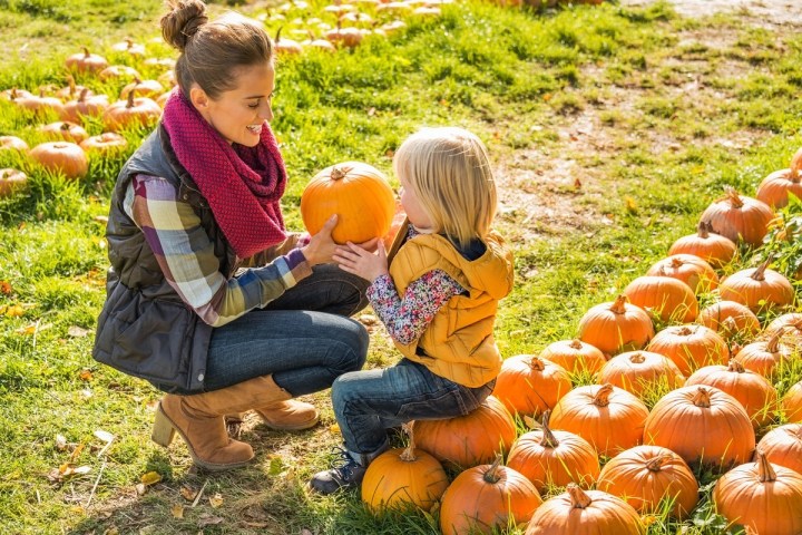 Best Pumpkin Patches in South Carolina