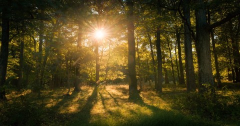 Before Word Gets Out, Visit Maryland's Newest City Park