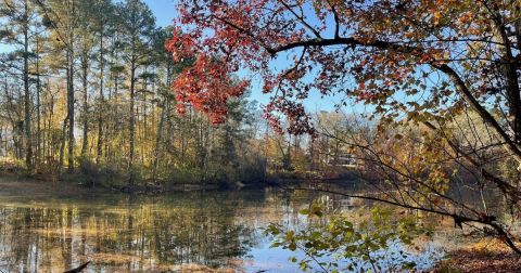 The Small Town In North Carolina That Comes Alive In The Fall Season