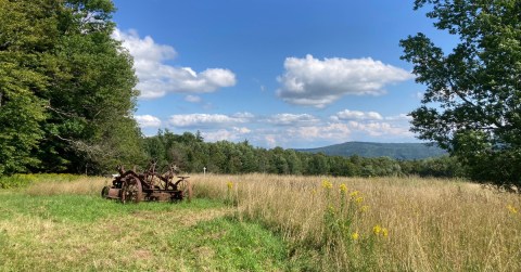 Enjoy An Unexpectedly Magical Hike On This Little-Known Trail In Massachusetts