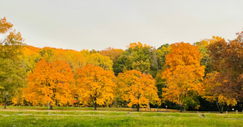 The Enchanting French Creek State Park In Pennsylvania Is One Of The Best Places To Enjoy Autumn