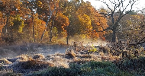 The Small State Park Where You Can View The Best Fall Foliage In New Jersey